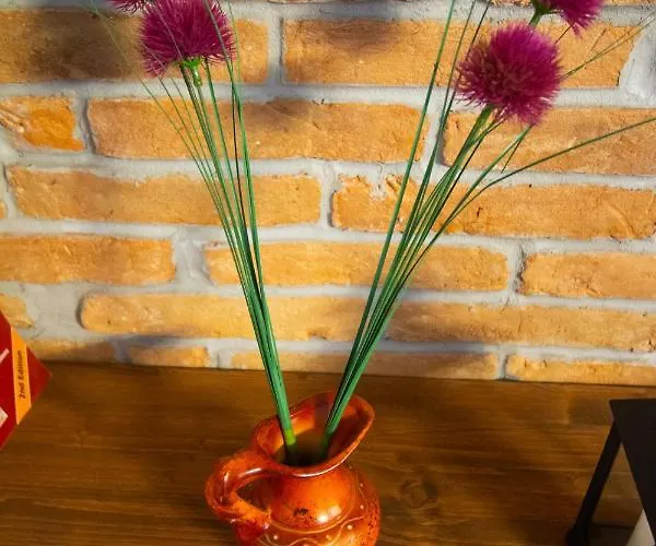 Divinity's Reach - The Upper Zadar